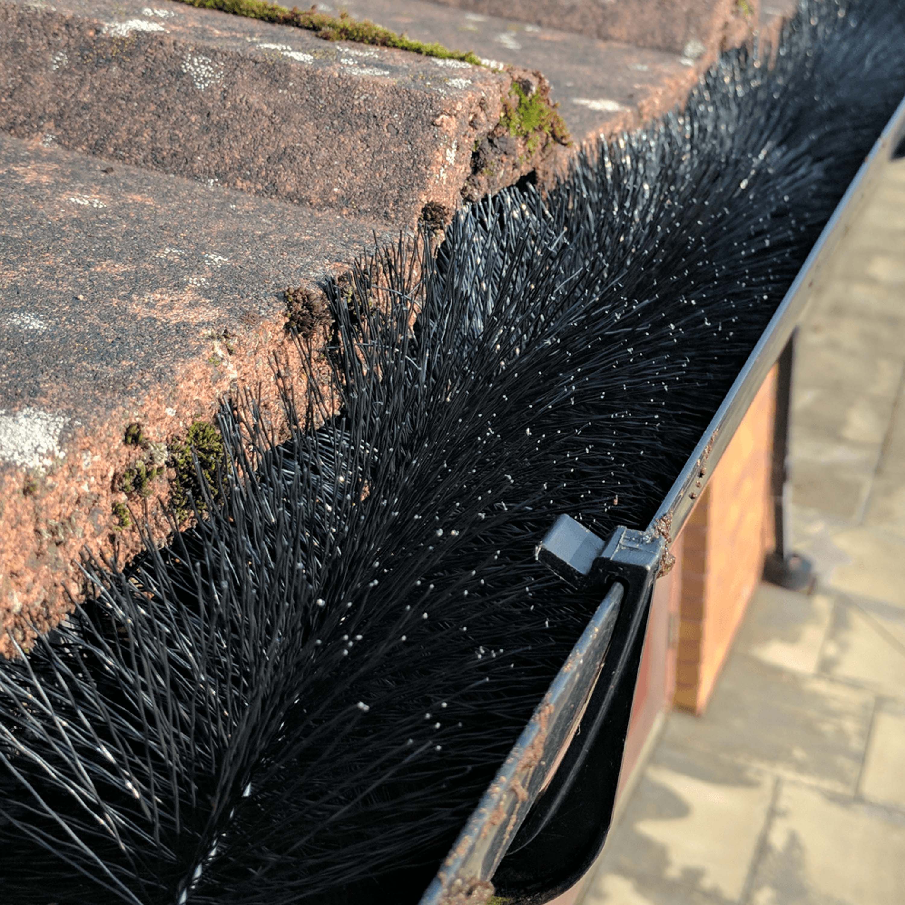 AMOS Gutter Brush Black