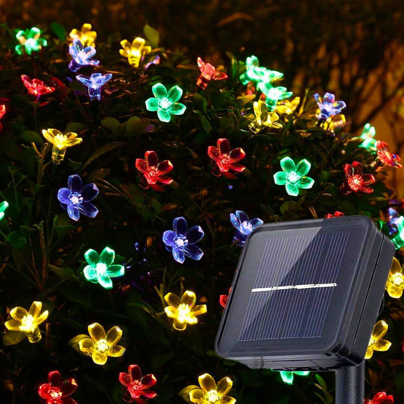 AMOS Multi Coloured LED