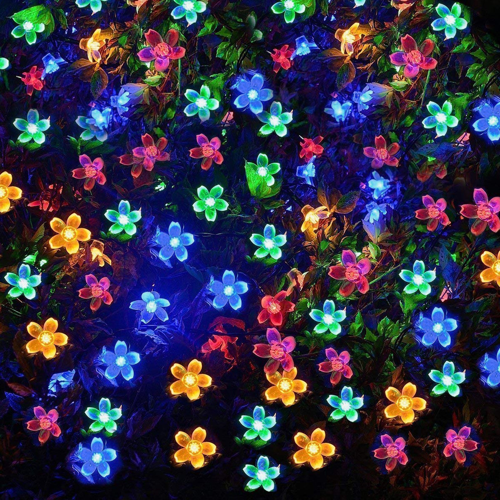 AMOS Multi Coloured LED 